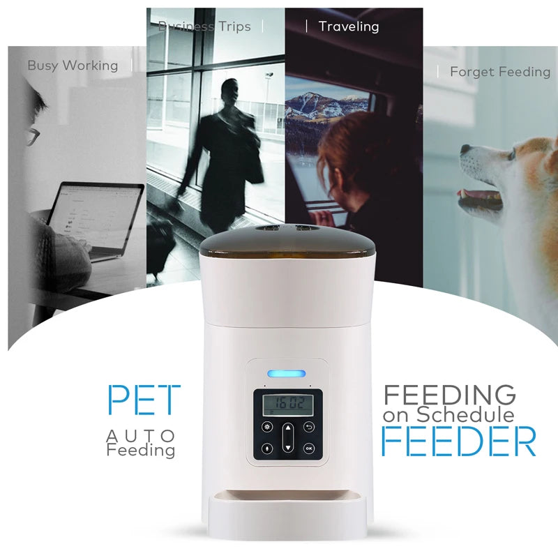 Automatic Pet Dispenser For Cat And Dog