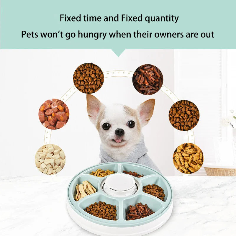 Automatic Feeder