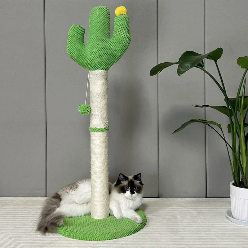 Cactus Cat Scratching Board