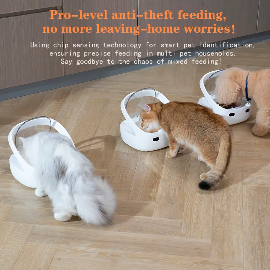 New Petoneer NutriCare Feeder