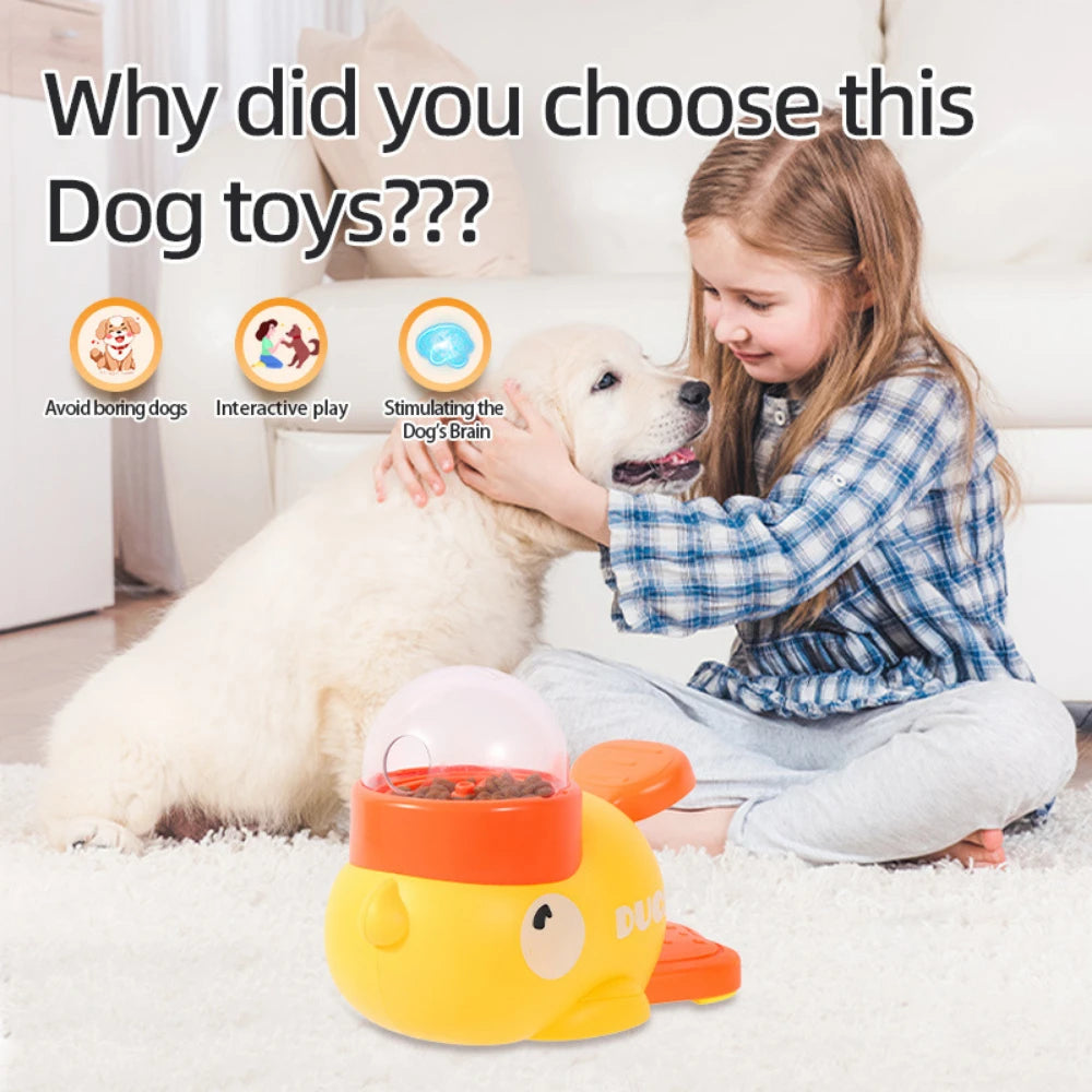 Pet Snack Feeder