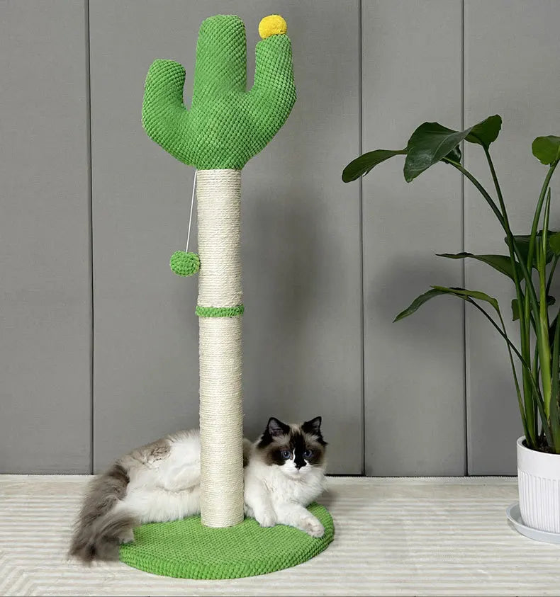 Cactus Cat Scratching Board