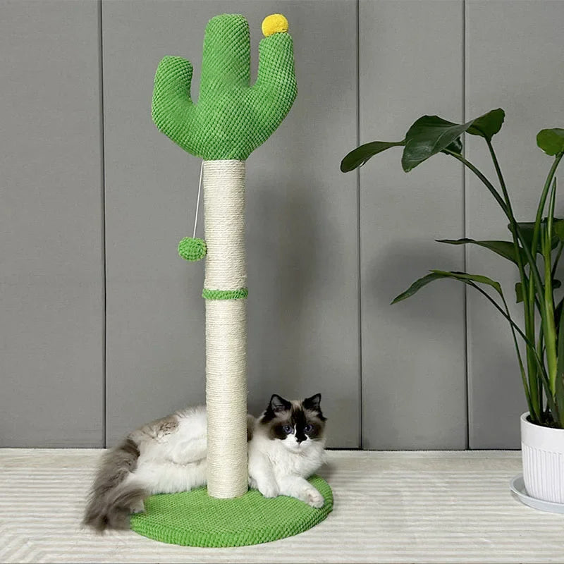 Cactus Cat Scratching Board