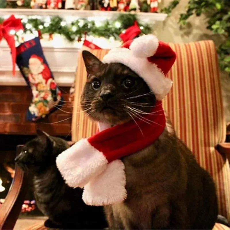 Christmas Hat and Scarf Set