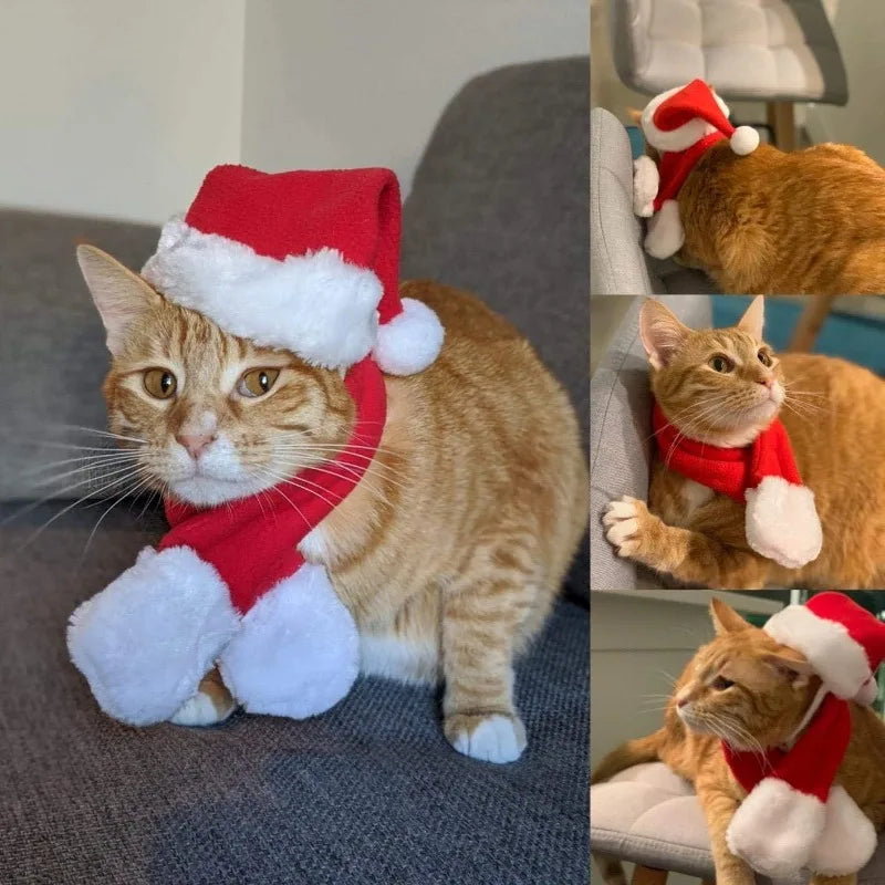 Christmas Hat and Scarf Set