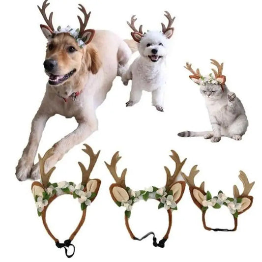 Reindeer Cap