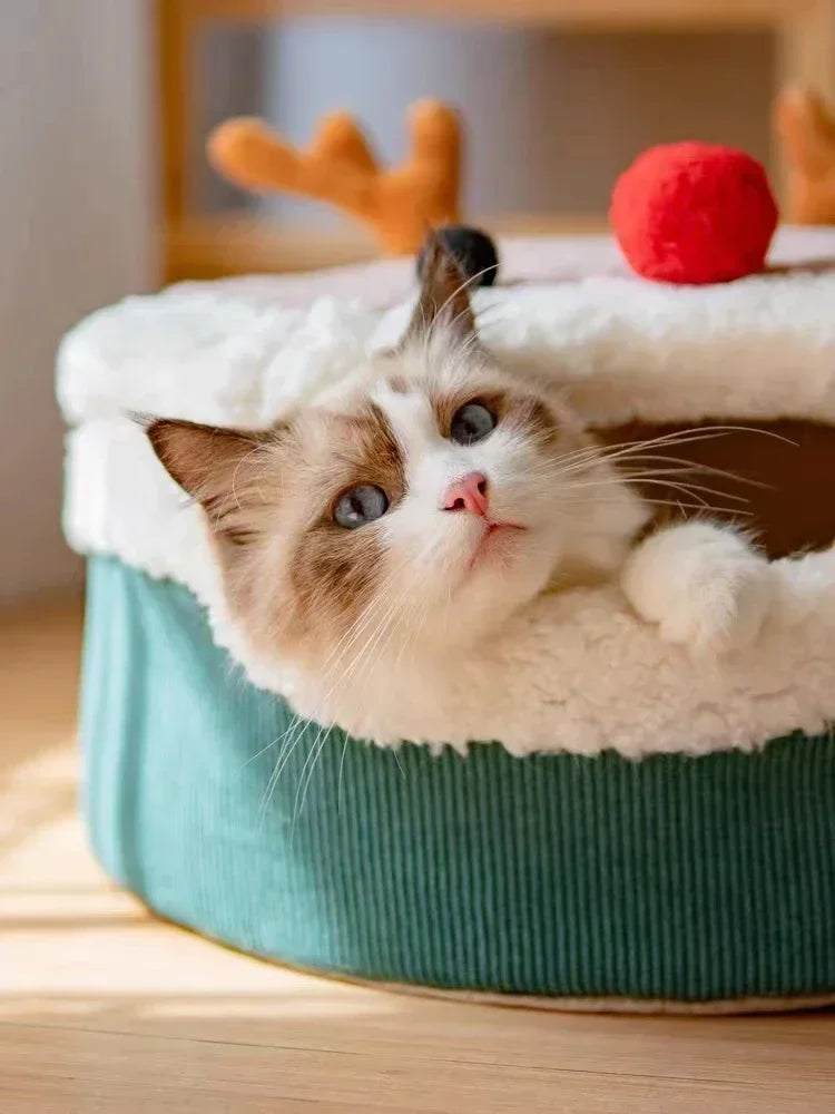 Warm Christmas Cat Litter