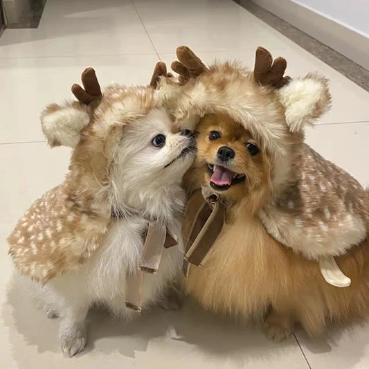 Reindeer Antlers