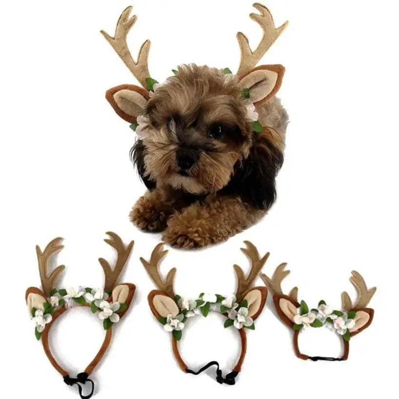 Reindeer Cap