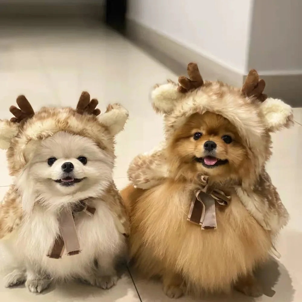 Reindeer Antlers