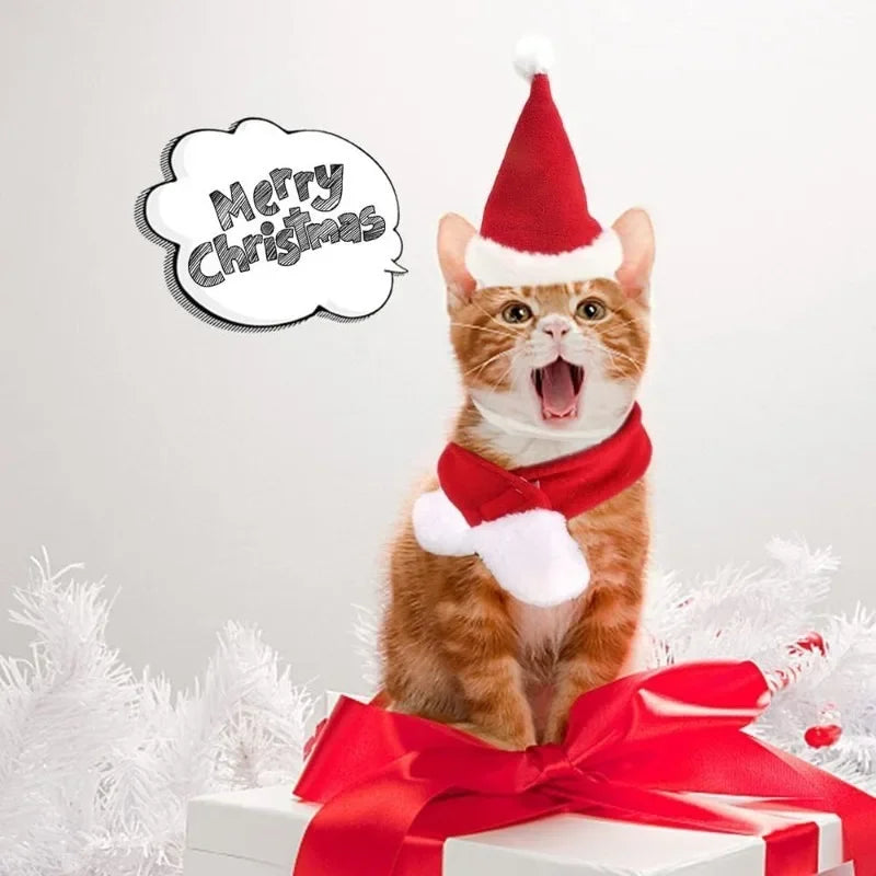 Christmas Hat and Scarf Set