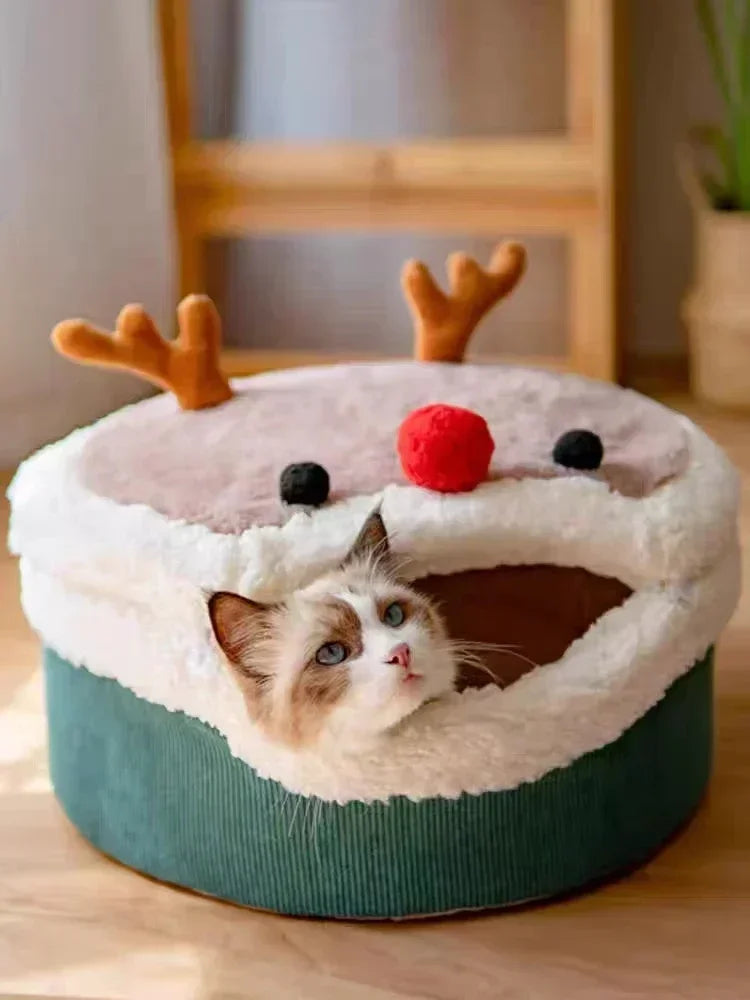 Warm Christmas Cat Litter