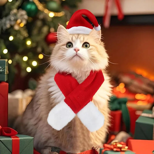 Christmas Hat and Scarf Set
