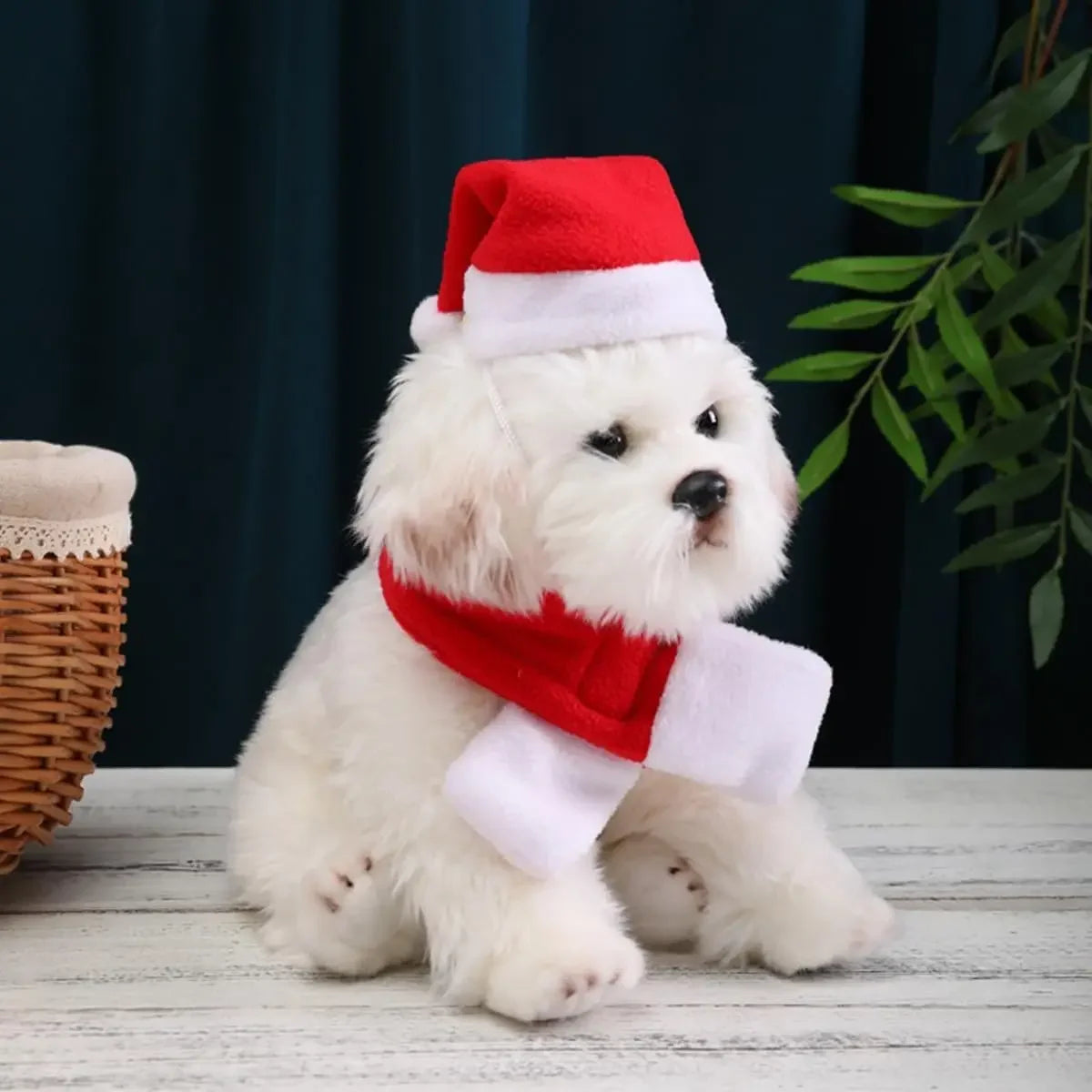 Christmas Hat and Scarf Set