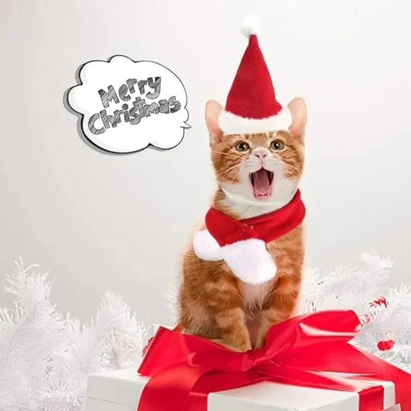 Christmas Hat and Scarf Set