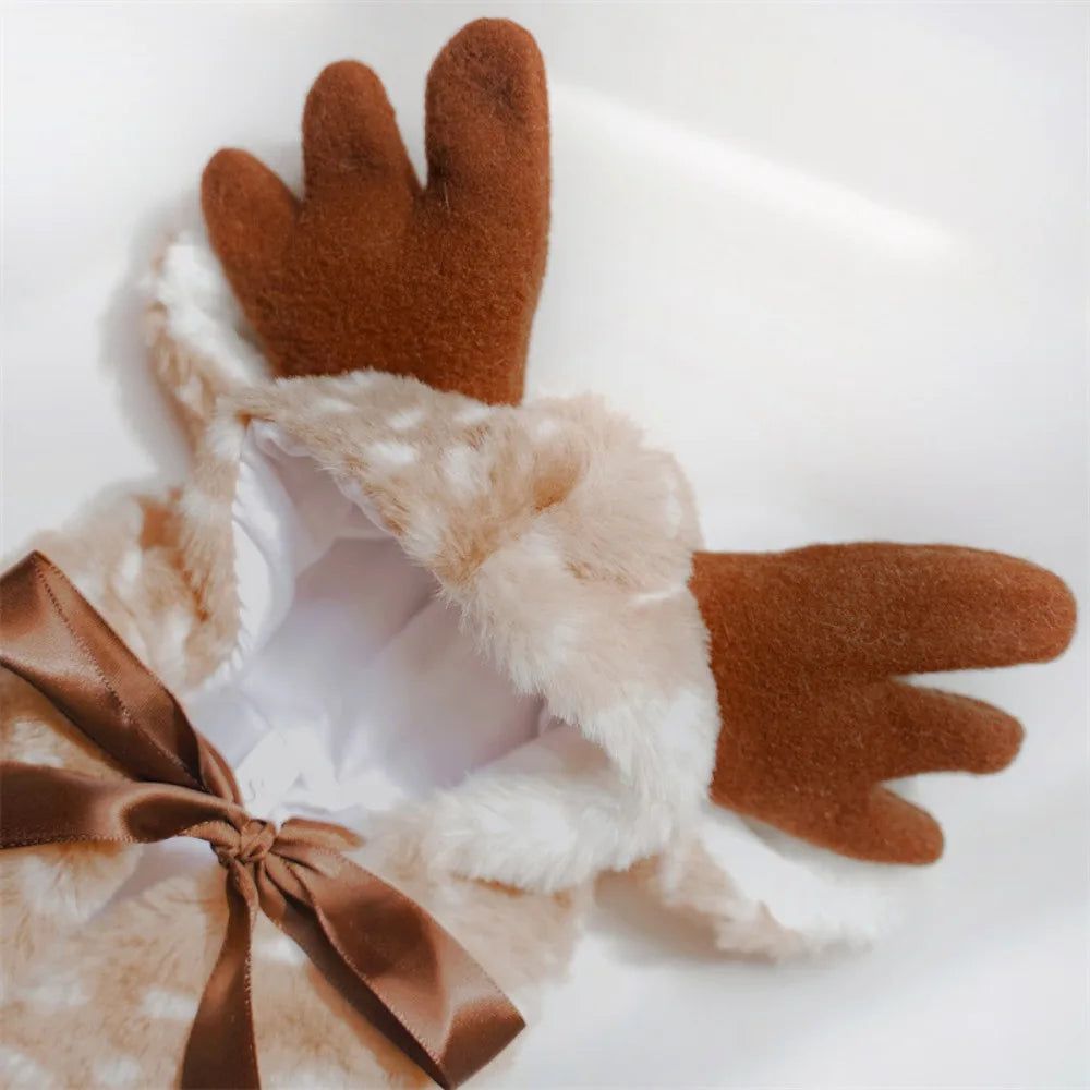Reindeer Antlers