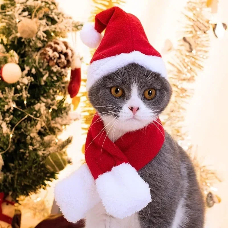 Christmas Hat and Scarf Set