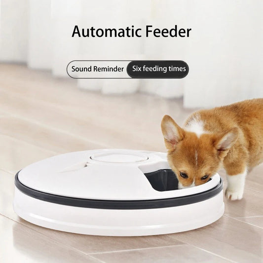 Automatic Feeder